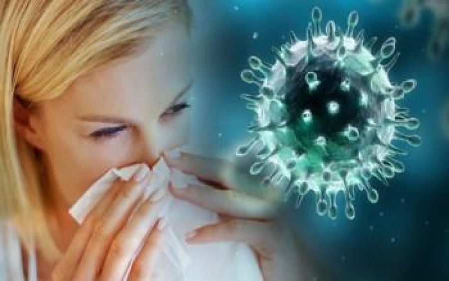 Ο ιός της γρίπης 