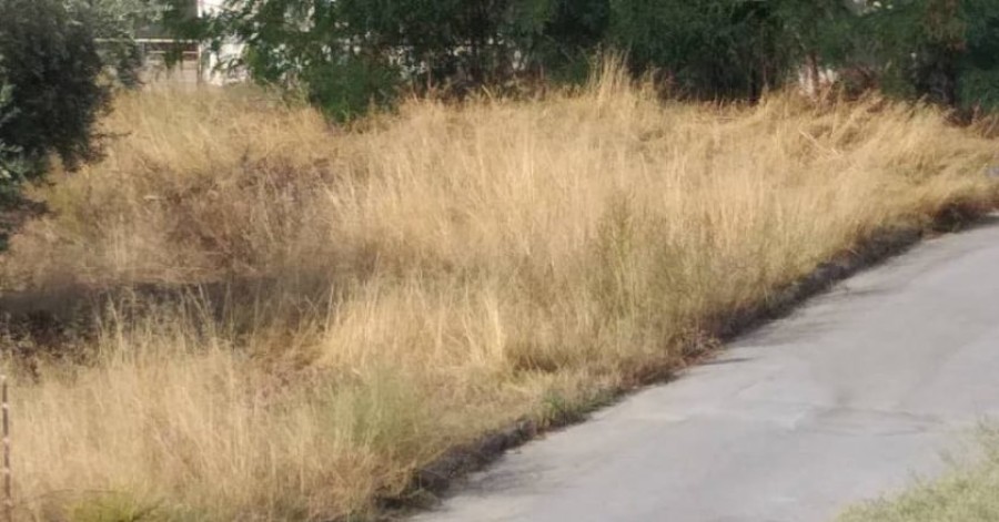 Καθαρισμός οικοπέδων από ξερά χόρτα