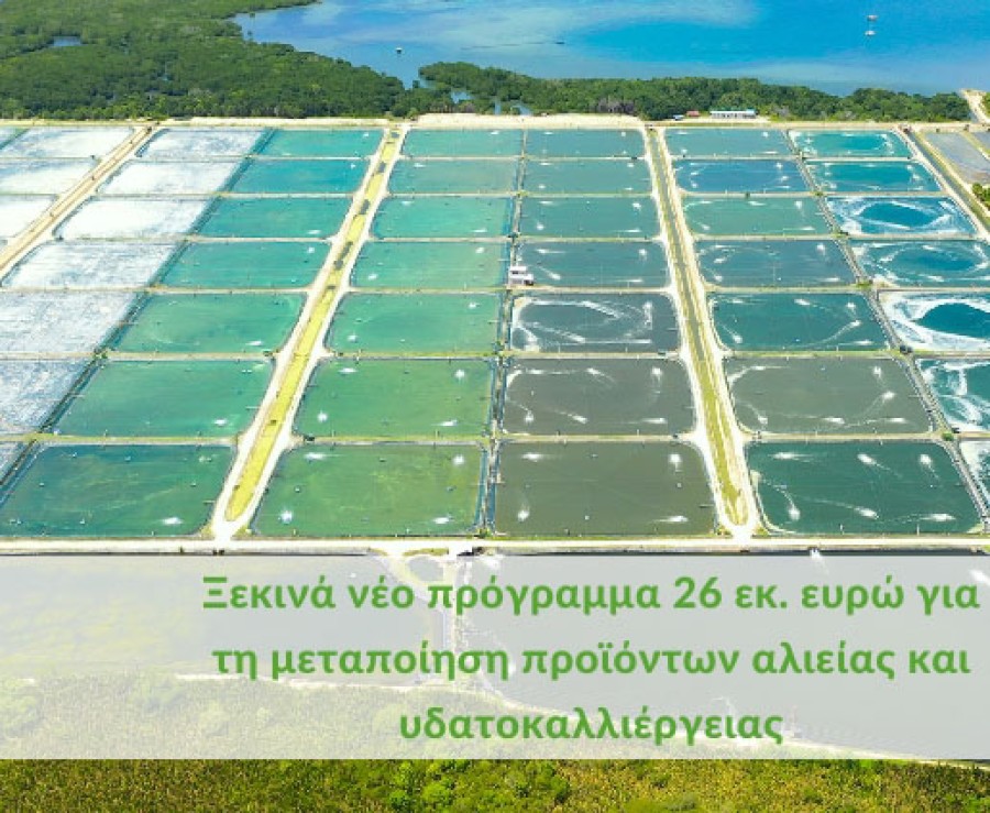 Πρόγραμμα μεταποίησης αλιείας & υδατοκαλλιέργειας