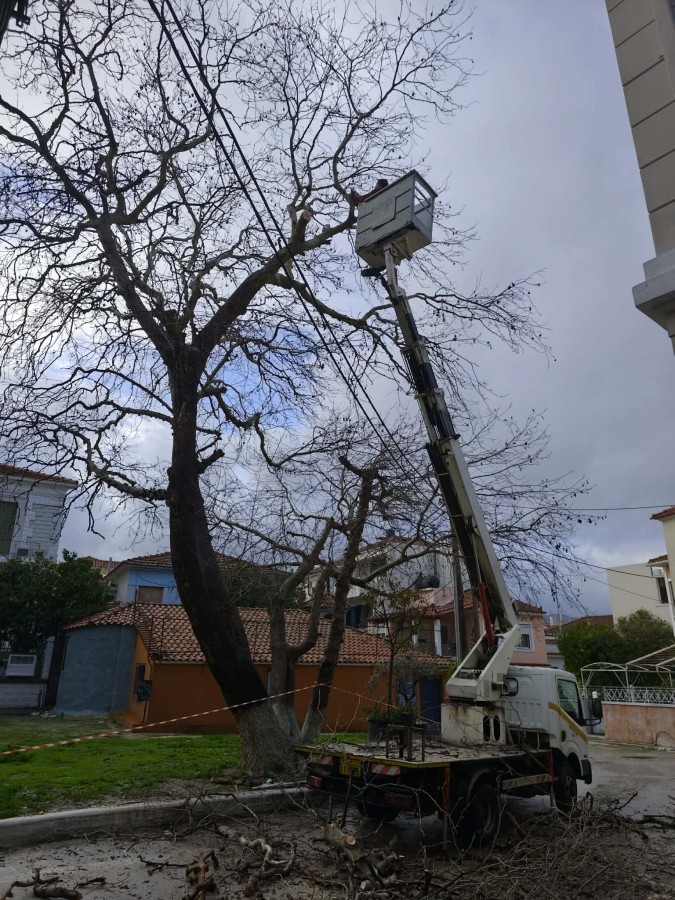 Ο γεροπλάτανος της πλατείας του Αι Γιάννη του Αρμένη
