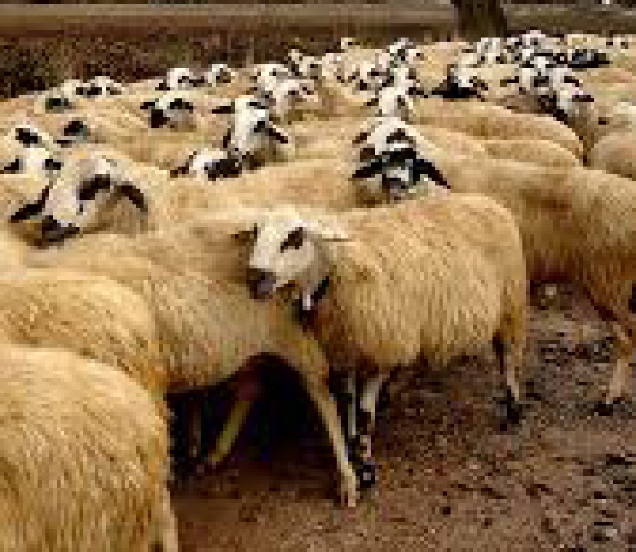 Στη διάθεση των τοπικών κοινωνιών