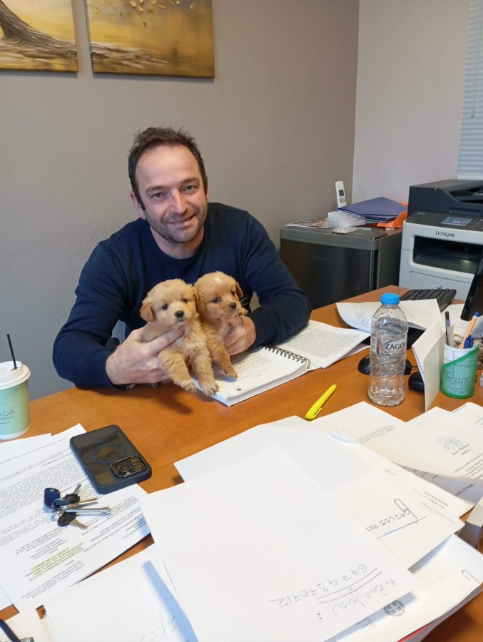 Κουτάβια σε κάδο