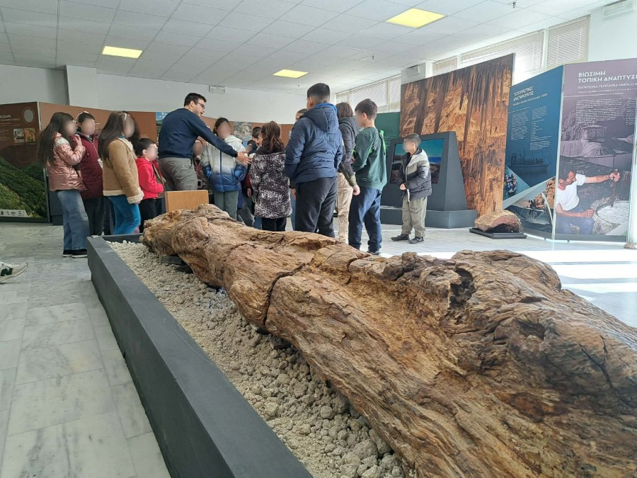 Oι μαθητές του ΔΣ Άγρας