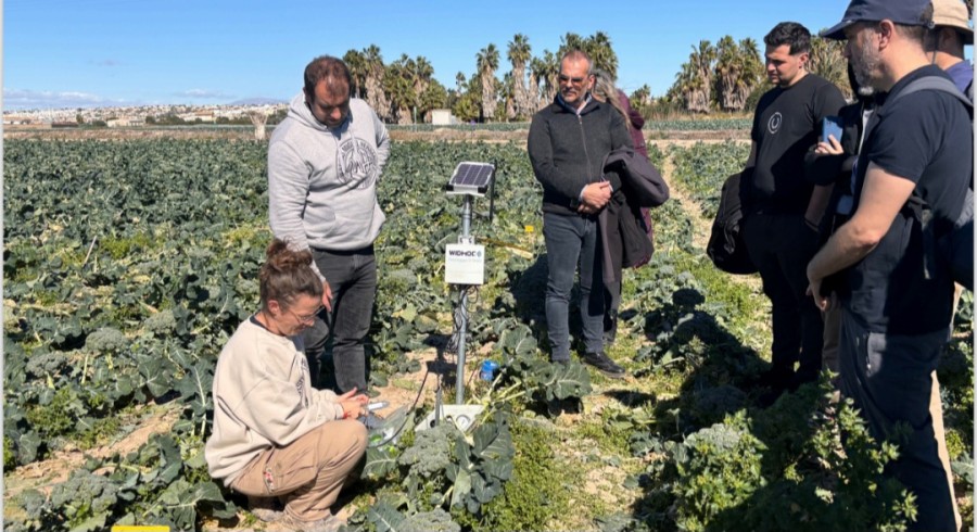 3η Γενική Συνάντηση Εργασιών του “Project 101181890 — RAINS”