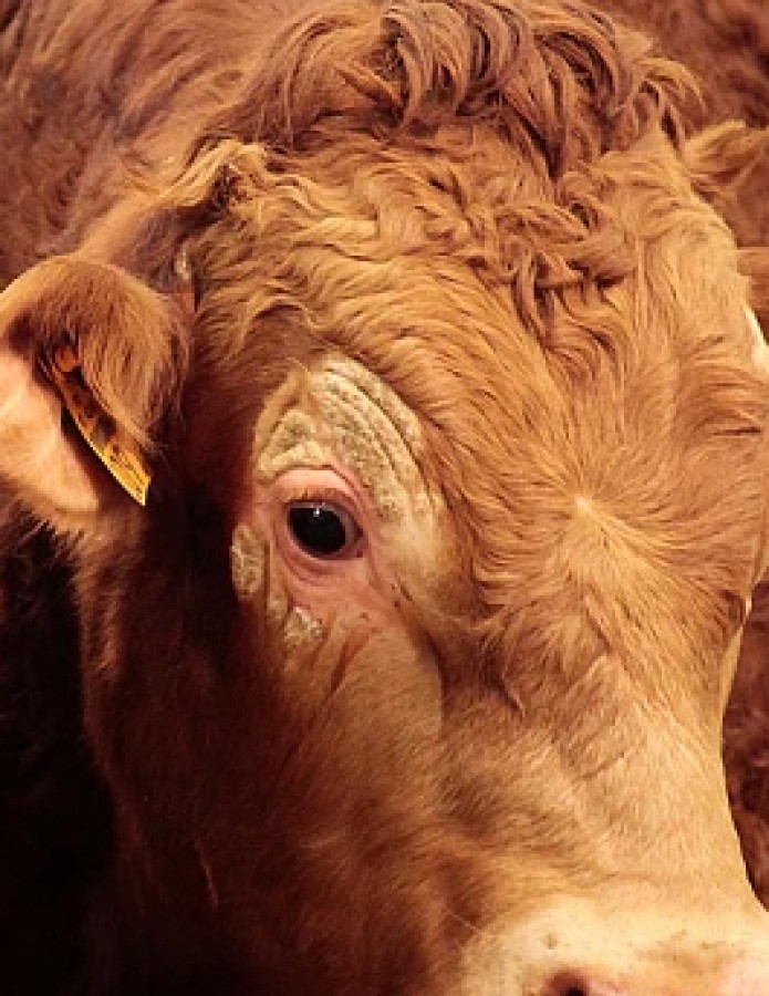 Παρεμβάσεις από τη «Νέα Δυναμική»