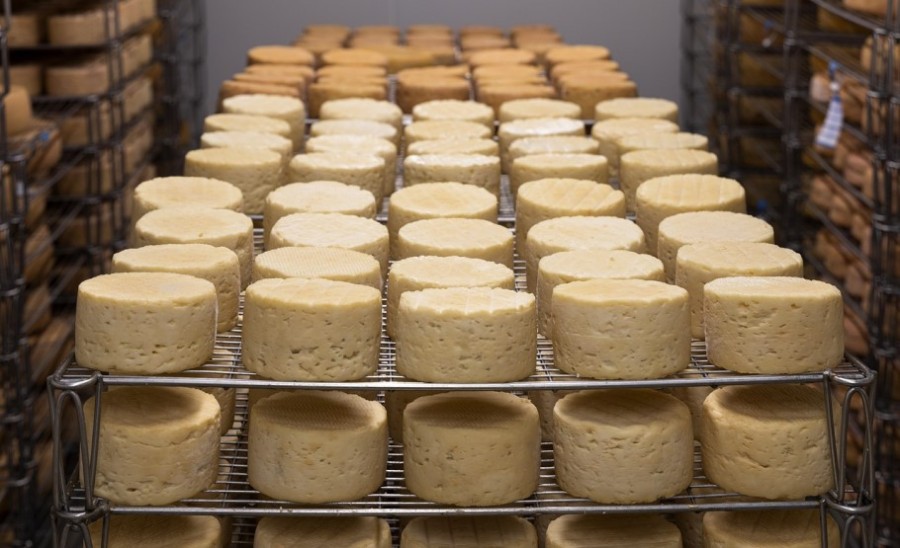 Αποζημίωση τυροκόμων Λέσβου μέσω ΚΥΑ