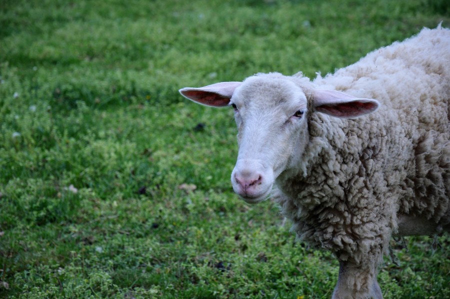 Συνεχίζονται οι έλεγχοι