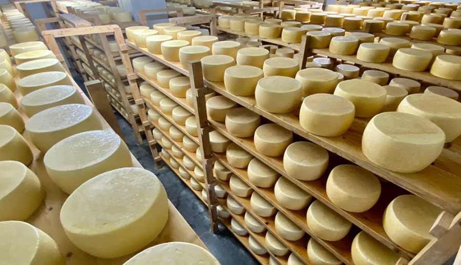 Η ΝΕ ΣΥΡΙΖΑ – ΠΣ Λέσβου απαιτεί