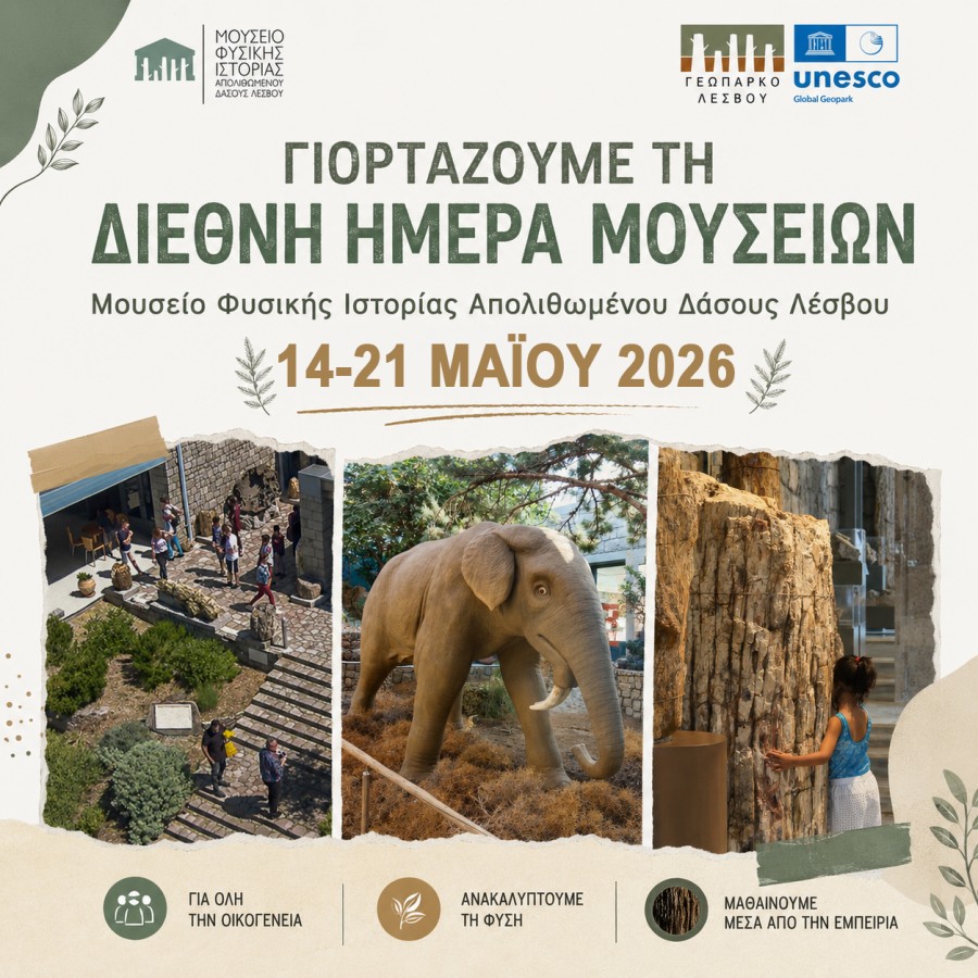 Μουσείο Φ.Ι. Απολιθωμένου Δάσους Λέσβου