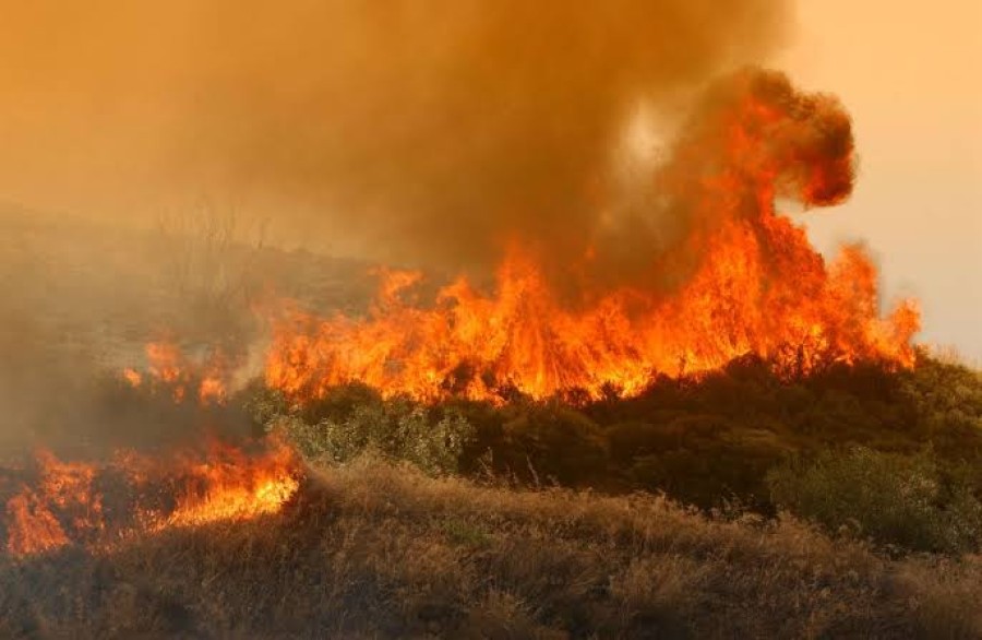 Για την πυρκαγιά στο Θάνος